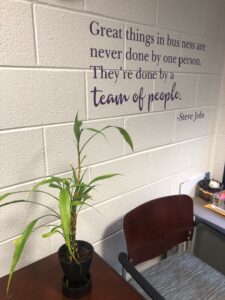 photo of a bamboo plant