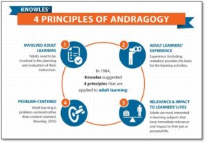 diagram showing the principles of andragogy