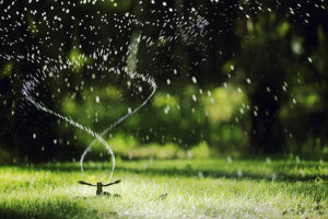photo of sprinkler spraying water on a lawn